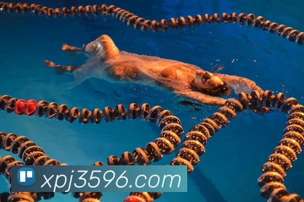 App 展示图